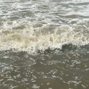 Meet your Posher, Logan